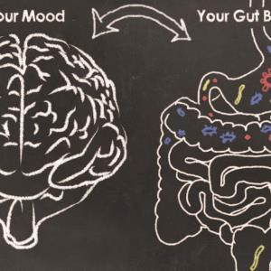 the bidirectional relationship between gut bacteria and brain