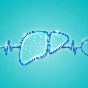 TAF may reduce liver inflammation and fibrosis in CHB patients