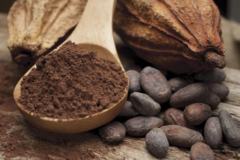 Cocoa extract fails to deliver cognitive benefits in adults