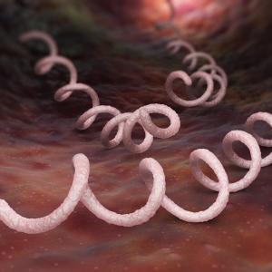 Linezolid flops against benzathine penicillin G for early syphilis